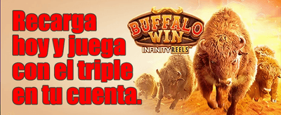 Bono de Recarga Diaria promotion